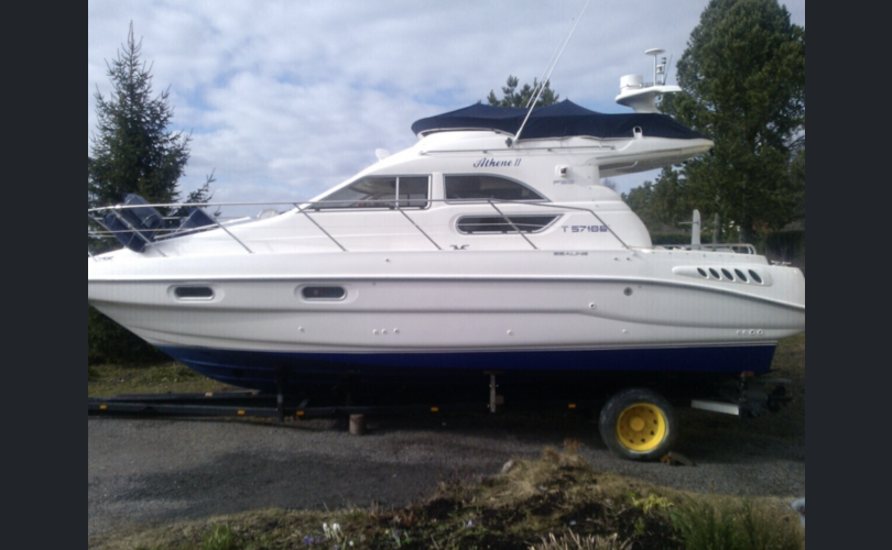 Sealine Muu malli-kuva-3